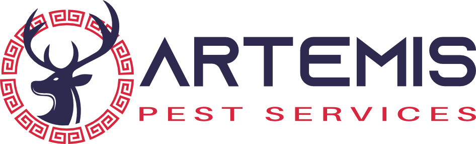 Artemis – TEST SITE