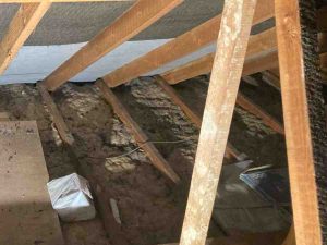 Rat Deroppings in Attic
