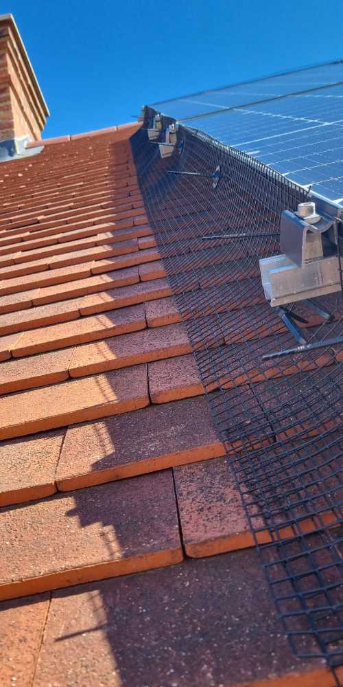 Mesh & Clip installation (close up)