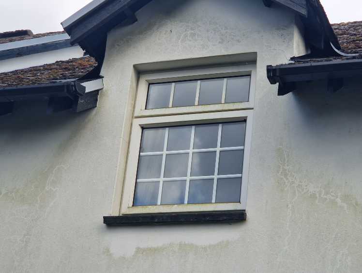 House wall with green algae
